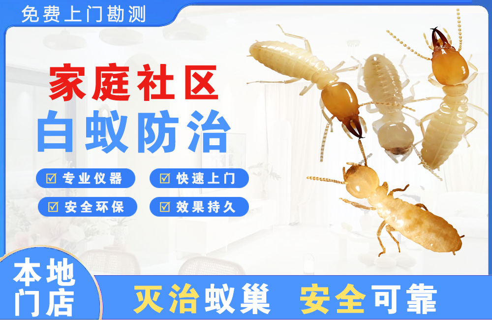 海安家庭社区白蚁防治