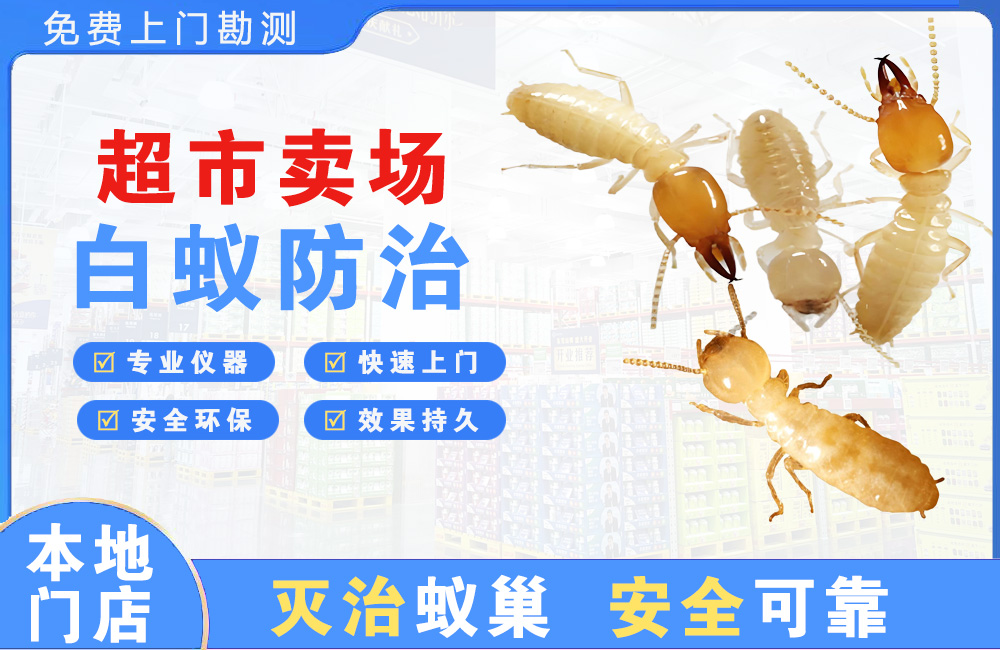 海安超市卖场白蚁防治