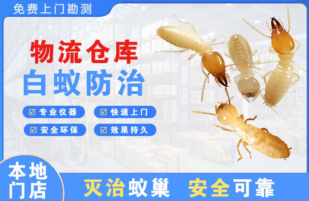 海安物流仓库白蚁防治