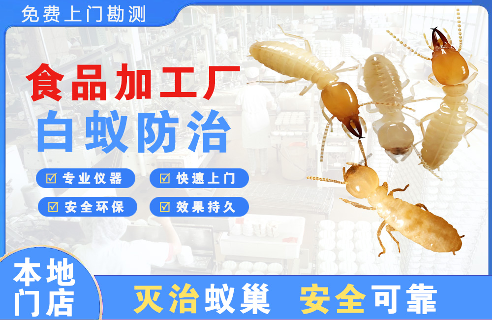 海安食品加工厂白蚁防治