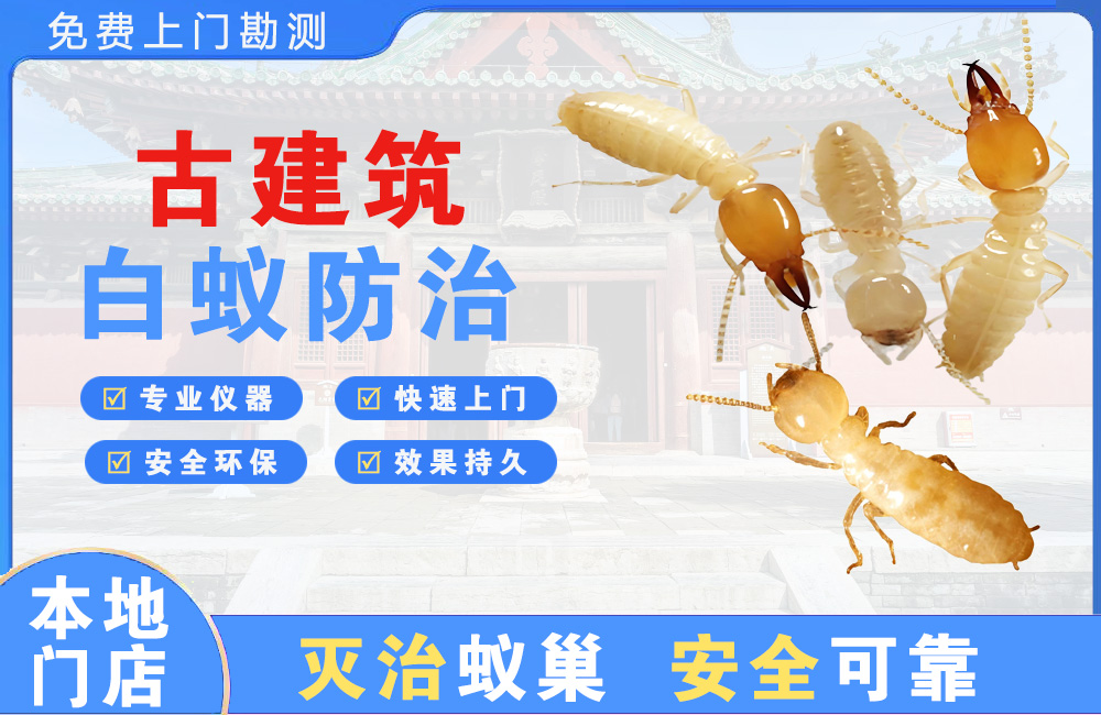 海安古建筑白蚁防治