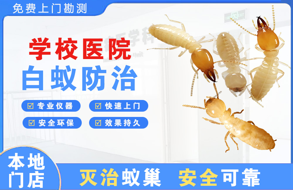 海安学校医院白蚁防治
