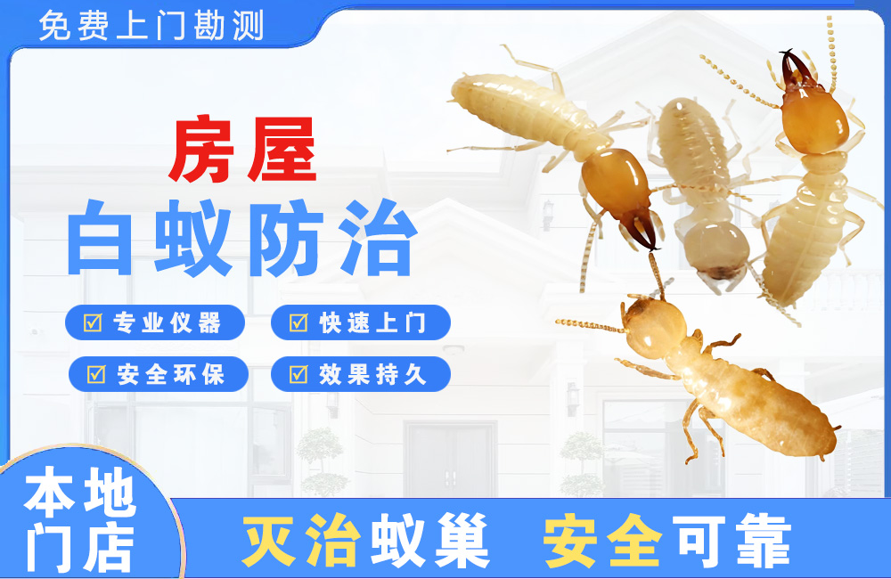 海安房屋白蚁防治
