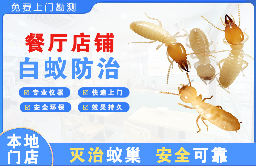 海安餐厅店铺白蚁防治